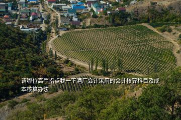 請(qǐng)哪位高手指點(diǎn)我一下酒廠會(huì)計(jì)采用的會(huì)計(jì)核算科目及成本核算辦法