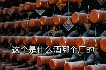這個是什么酒哪個廠的