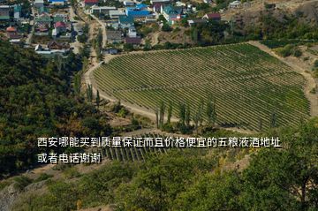 西安哪能買到質(zhì)量保證而且價(jià)格便宜的五糧液酒地址或者電話謝謝