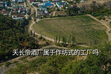 天長(zhǎng)帝酒廠屬于作坊式的工廠嗎