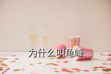為什么叫龜峰