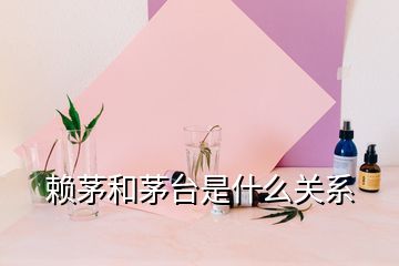 賴茅和茅臺(tái)是什么關(guān)系
