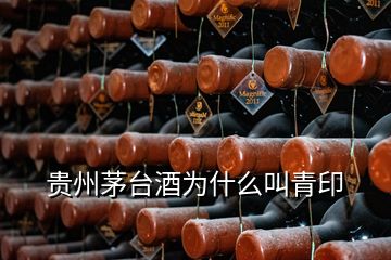 貴州茅臺(tái)酒為什么叫青印