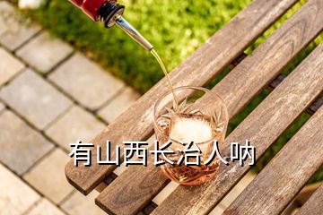 有山西長(zhǎng)治人吶
