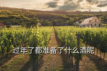 過(guò)年了都準(zhǔn)備了什么酒呢