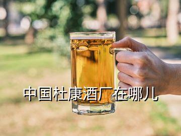 中國(guó)杜康酒廠(chǎng)在哪兒