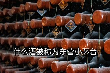什么酒被稱為東營小茅臺
