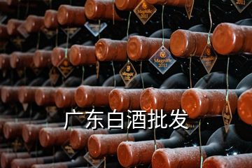 廣東白酒批發(fā)
