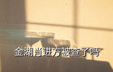 金湖肖進方被查了嗎
