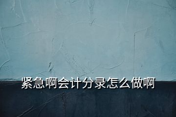 緊急啊會計分錄怎么做啊