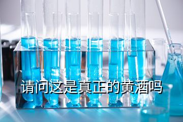 請(qǐng)問(wèn)這是真正的黃酒嗎