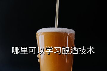 哪里可以學(xué)習釀酒技術(shù)