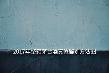 2017年整箱茅臺(tái)酒真假鑒別方法圖
