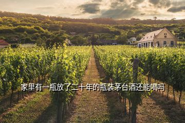家里有一瓶放了二十年的瓶裝茅臺酒還能喝嗎