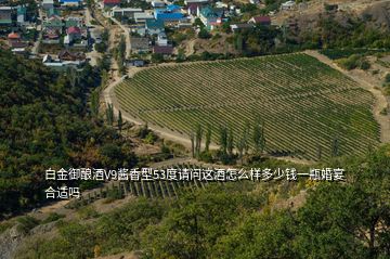 白金御釀酒V9醬香型53度請(qǐng)問這酒怎么樣多少錢一瓶婚宴合適嗎
