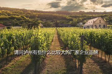 請(qǐng)問(wèn)瀘州有些什么比較大的廠家企業(yè)品牌