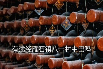 有途經雁石鎮(zhèn)八一村中巴嗎
