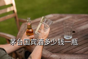 茅臺(tái)國(guó)賓酒多少錢(qián)一瓶