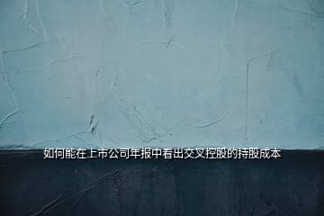 如何能在上市公司年報(bào)中看出交叉控股的持股成本