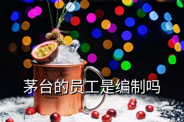 茅臺(tái)的員工是編制嗎