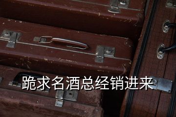 跪求名酒總經(jīng)銷進(jìn)來(lái)