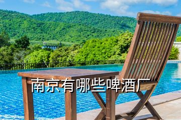 南京有哪些啤酒廠(chǎng)