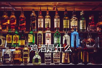 雞酒是什么