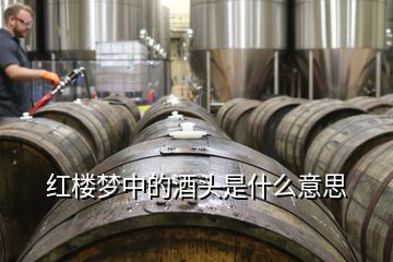 紅樓夢(mèng)中的酒頭是什么意思