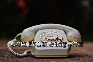 咖啡色瓶茅臺(tái)酒誰(shuí)知道那年得酒