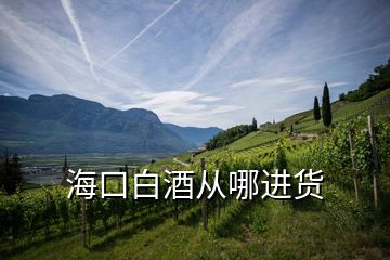 ?？诎拙茝哪倪M(jìn)貨