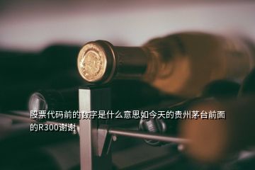 股票代碼前的數(shù)字是什么意思如今天的貴州茅臺(tái)前面的R300謝謝