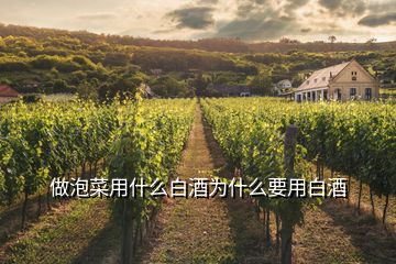 做泡菜用什么白酒為什么要用白酒