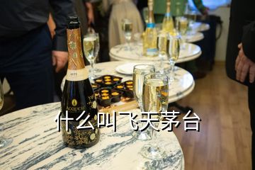 什么叫飛天茅臺(tái)