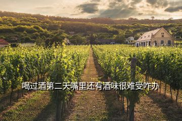喝過酒第二天嘴里還有酒味很難受咋辦