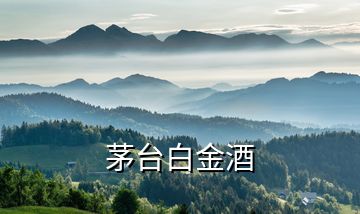 茅臺(tái)白金酒