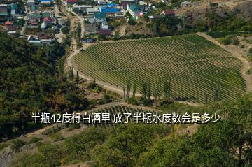 半瓶42度得白酒里 放了半瓶水度數(shù)會(huì)是多少