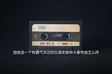 想挑選一個(gè)有霸氣風(fēng)范的白酒老榆林大秦帝國怎么樣