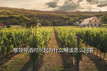 敬領(lǐng)導(dǎo)酒時(shí)問起為什么喝該怎么回答