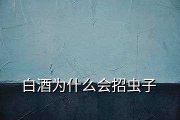 白酒為什么會(huì)招蟲(chóng)子