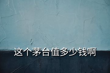 這個(gè)茅臺值多少錢啊