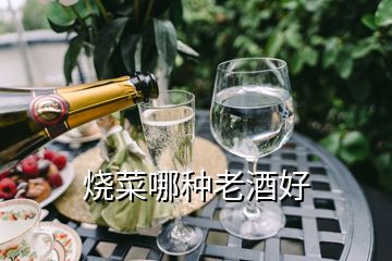 燒菜哪種老酒好