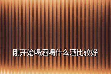 剛開(kāi)始喝酒喝什么酒比較好