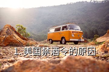 1. 美國(guó)禁酒令的原因