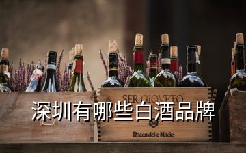 深圳有哪些白酒品牌