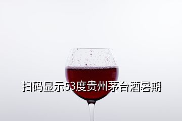 掃碼顯示53度貴州茅臺(tái)酒暑期
