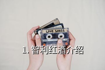 1. 智利紅酒介紹