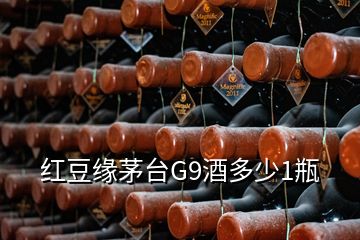 紅豆緣茅臺G9酒多少1瓶