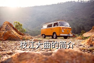 枝江大曲的簡(jiǎn)介