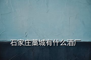 石家莊藁城有什么酒廠(chǎng)