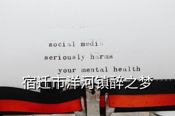 宿遷市洋河鎮(zhèn)醉之夢
